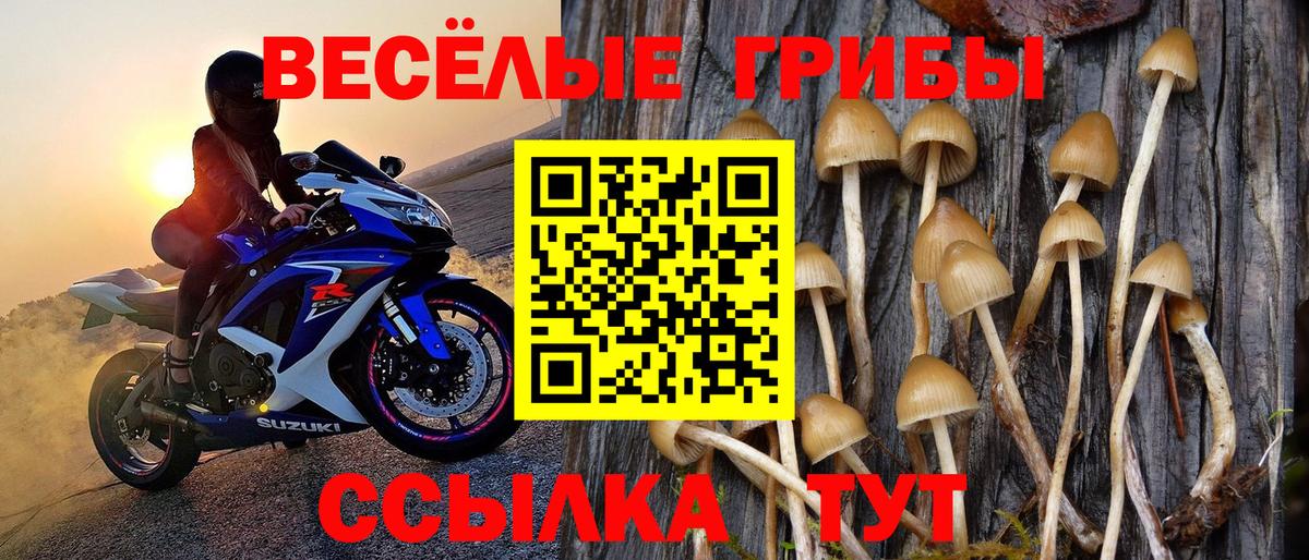 Псилоцибиновые грибы MAGIC MUSHROOMS Отрадное