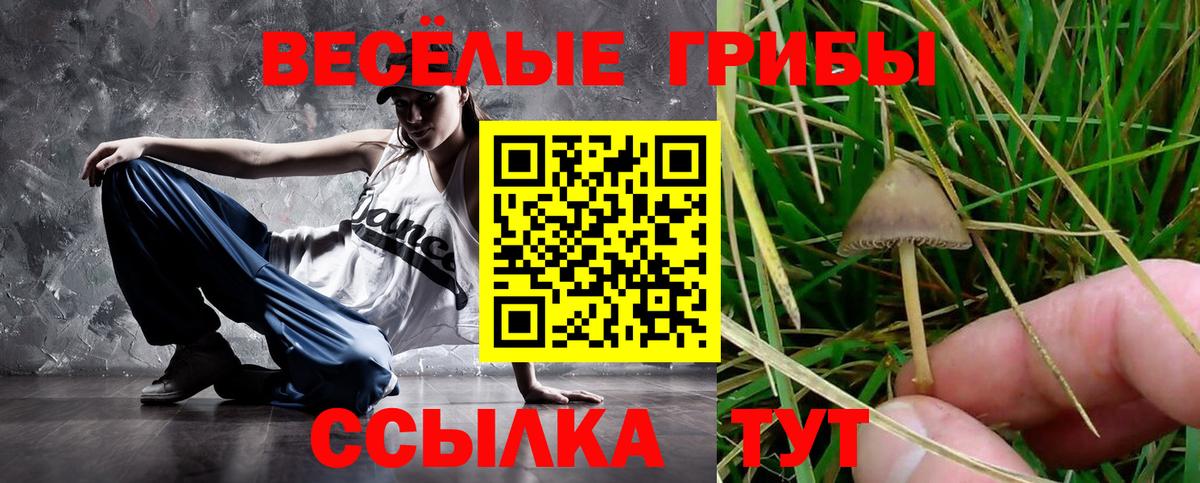 Отрадное  цена наркотик  Галлюциногенные грибы MAGIC MUSHROOMS  Вход с VPN  Псилоцибиновые грибы Cubensis 