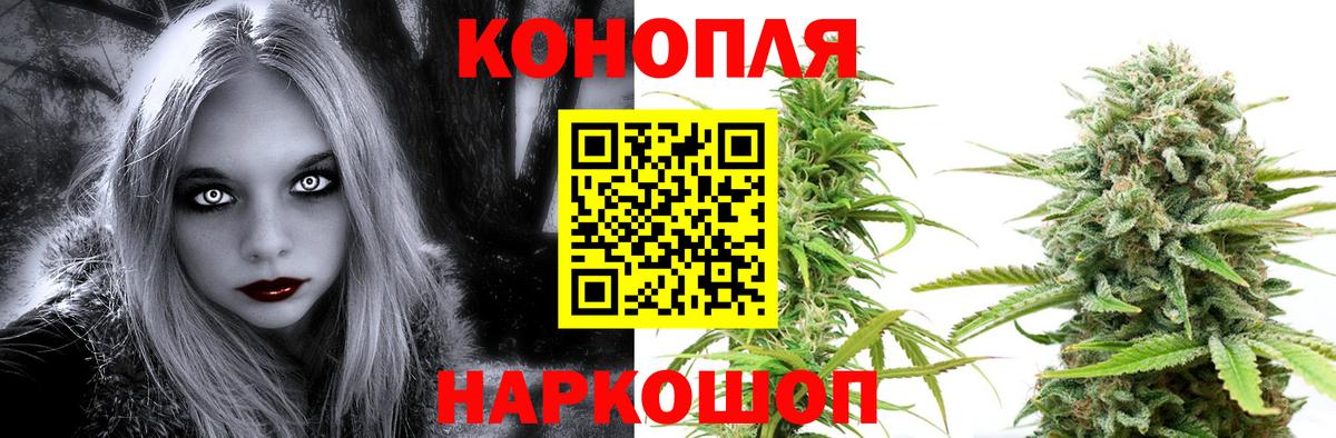 Конопля MAZAR  Шишки марихуана AK-47  Отрадное  Вход с VPN 